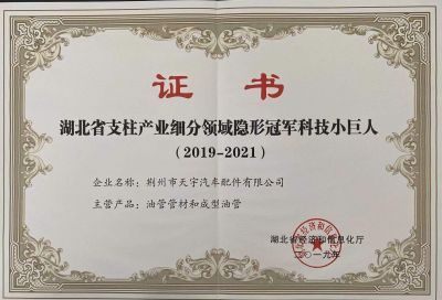 隱形冠軍小巨人